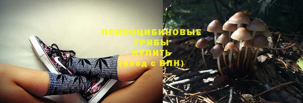 прущий лед Бородино