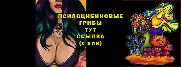 прущий лед Бронницы