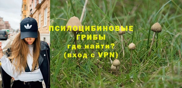 прущий лед Бронницы