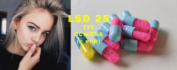 крисы Бугульма