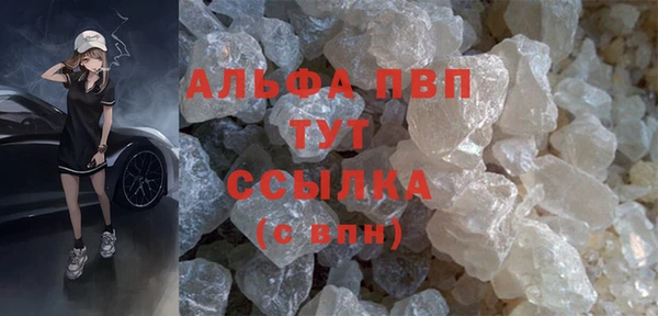 прущий лед Бородино