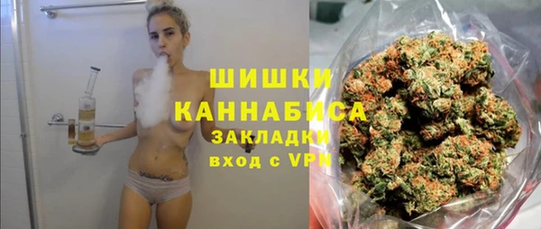 прущий лед Бородино