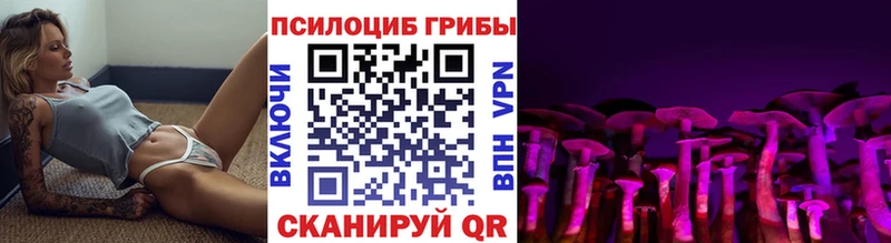 Купить  Наро-Фоминск  Псилоцибиновые грибы мицелий 